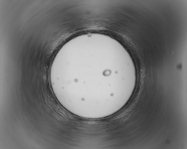 X0000115491257200912041008