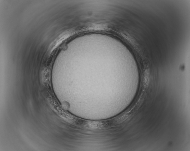 X0000115491258200912041007