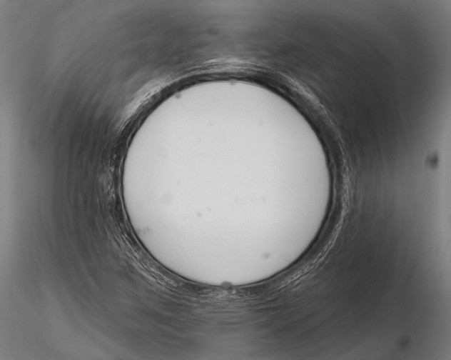 X0000115491259200912041007