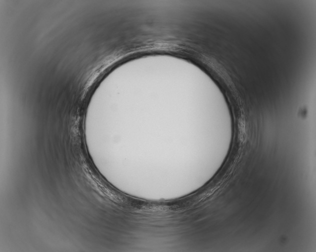 X0000115491260200912041007