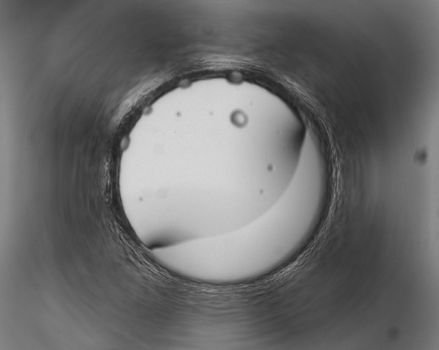 X0000115491261200912041007