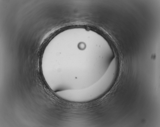 X0000115491262200912041007