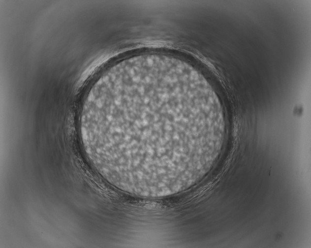 X0000115491263200912041007