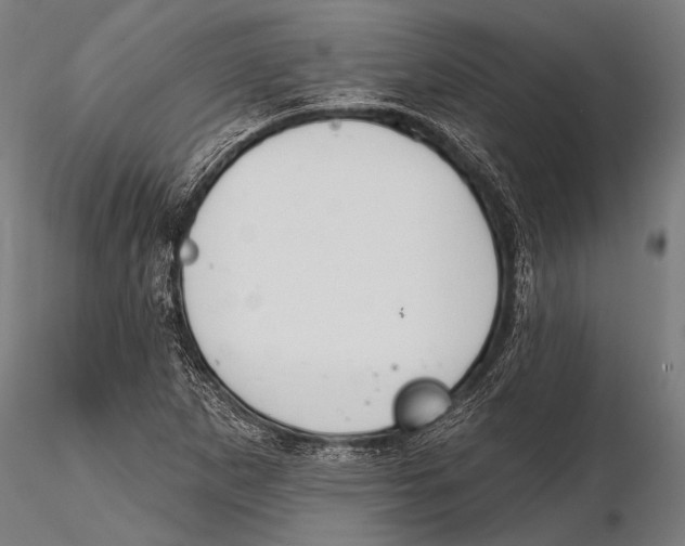 X0000115491265200912041007