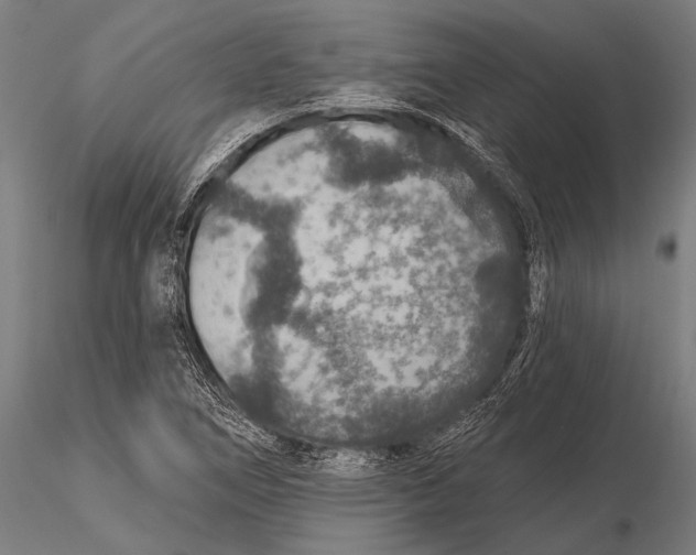 X0000115491266200912041007