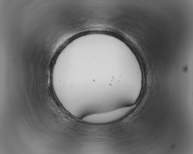 X0000115491267200912041007