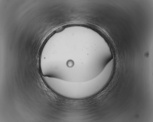 X0000115491268200912041007