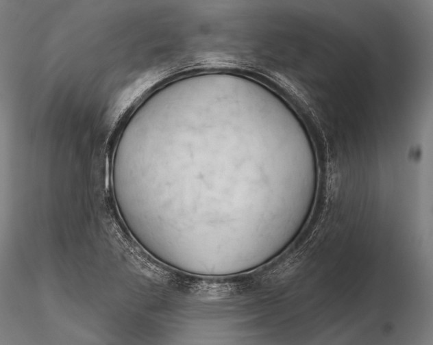 X0000115491269200912041007