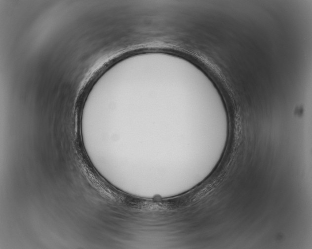 X0000115491270200912041007