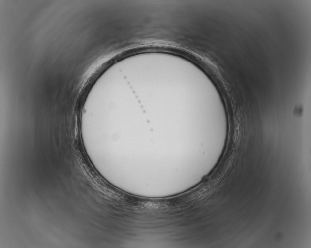 X0000115491271200912041007