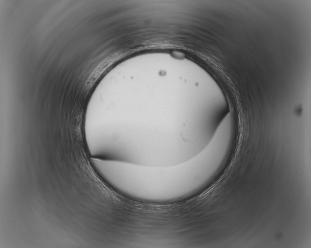 X0000115491273200912041007