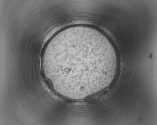 X0000115491274200912041007