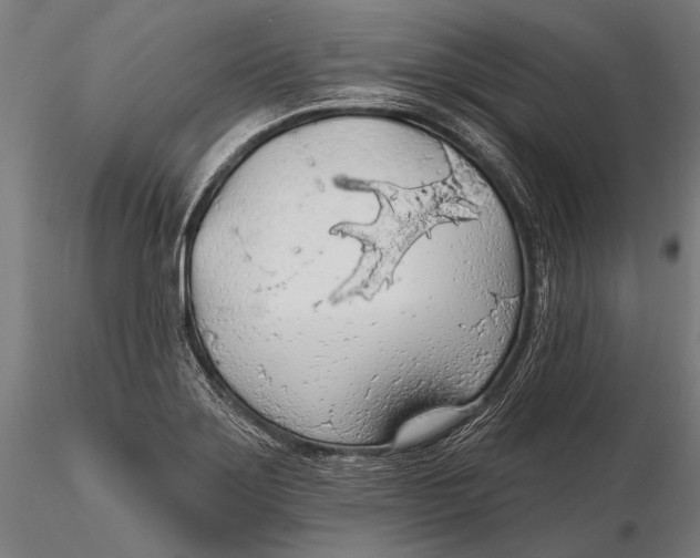 X0000115491275200912041007