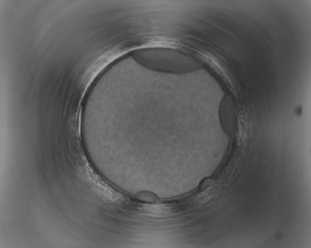 X0000115491276200912041007
