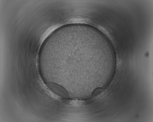 X0000115491277200912041007