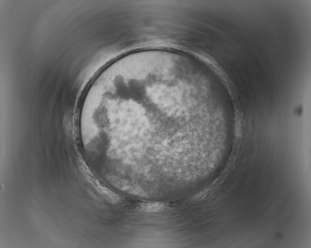 X0000115491278200912041007