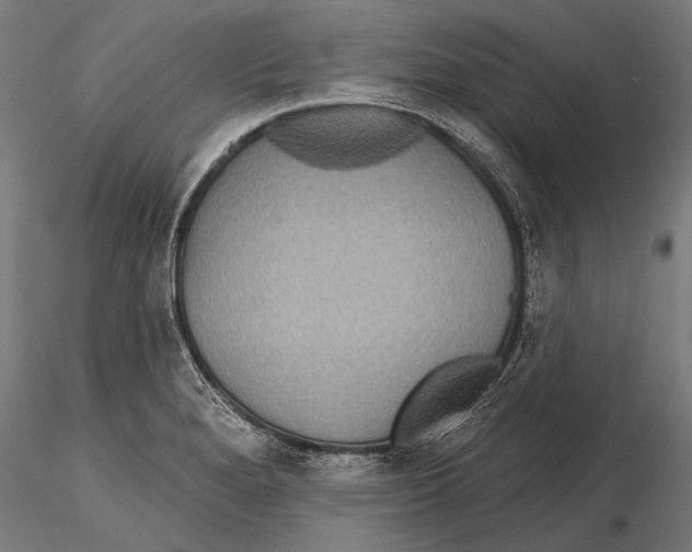 X0000115491280200912041007