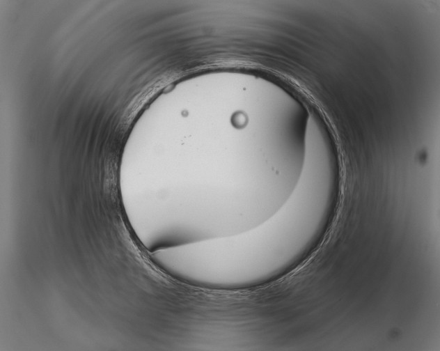 X0000115491281200912041007