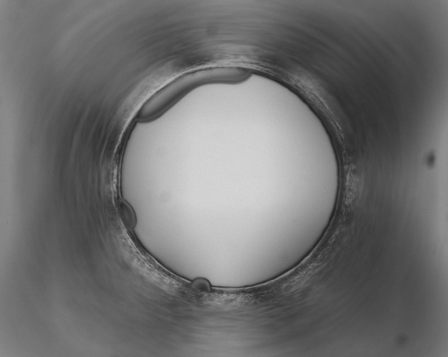 X0000115491284200912041007