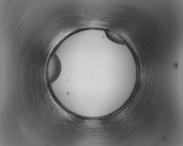 X0000115491285200912041007