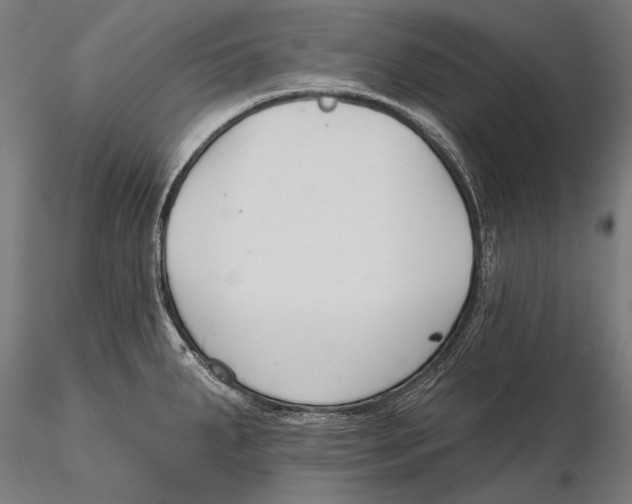 X0000115491287200912041007