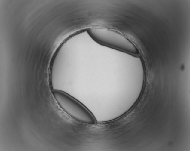X0000115491288200912041007
