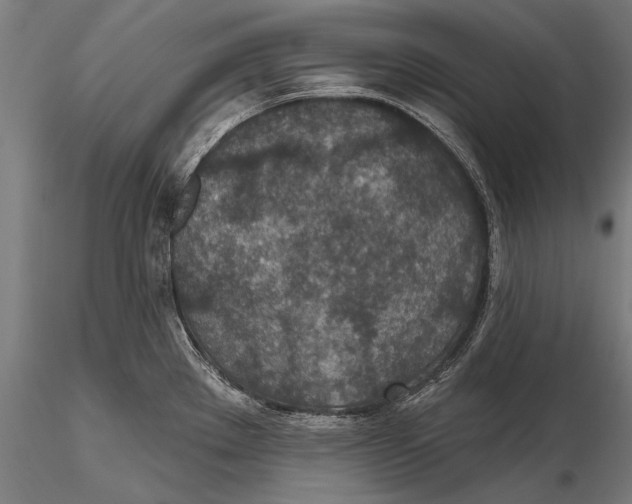 X0000115491289200912041007