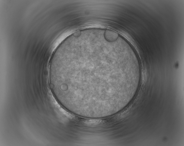 X0000115491290200912041007