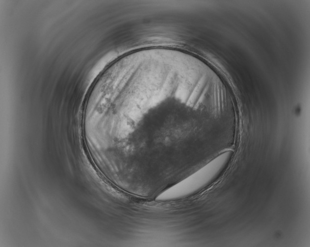 X0000115491291200912041007