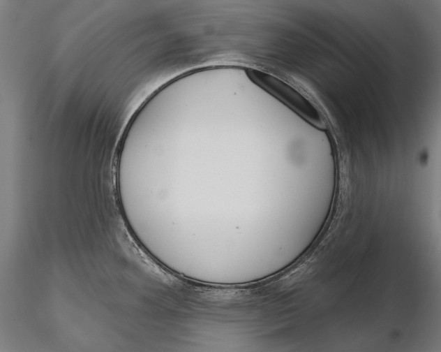X0000115491292200912041007