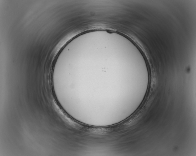 X0000115491293200912041007