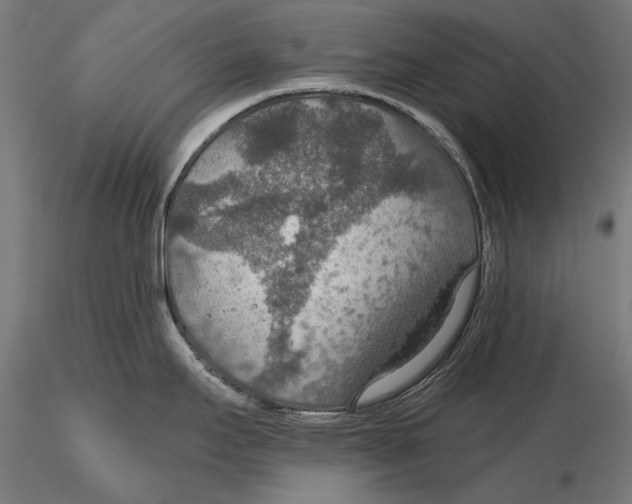 X0000115491295200912041007