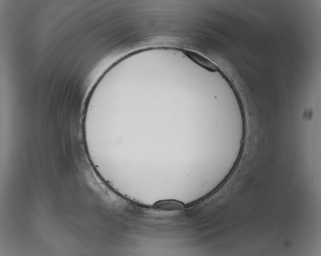 X0000115491296200912041007