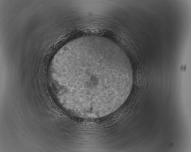 X0000115491297200912041006