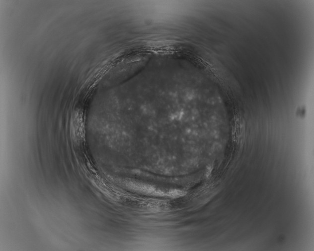 X0000115491298200912041006