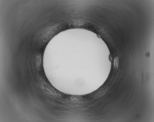 X0000115491299200912041006