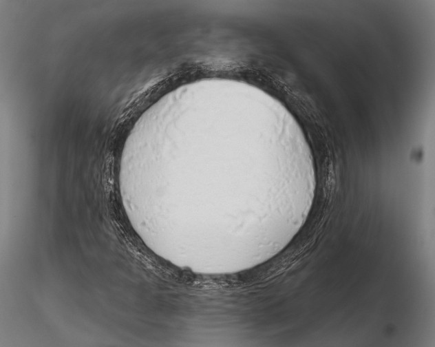 X0000115491301200912041006