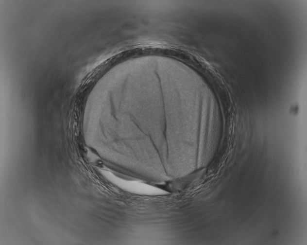 X0000115491303200912041006