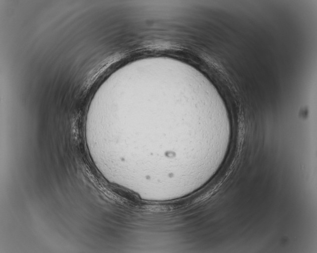 X0000115491305200912041006