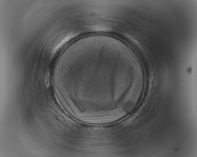 X0000115491306200912041006