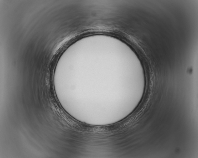 X0000115491307200912041006