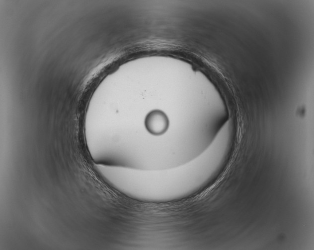 X0000115491309200912041006