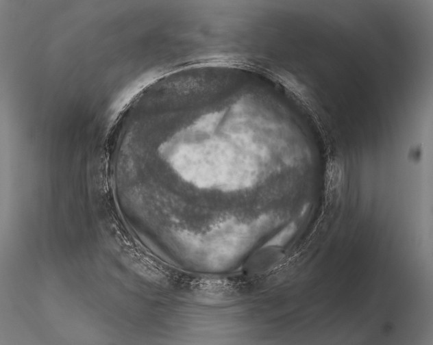 X0000115491310200912041006