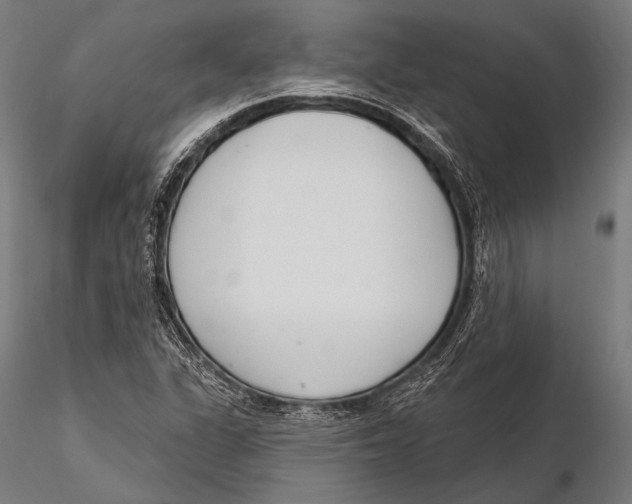 X0000115491311200912041007