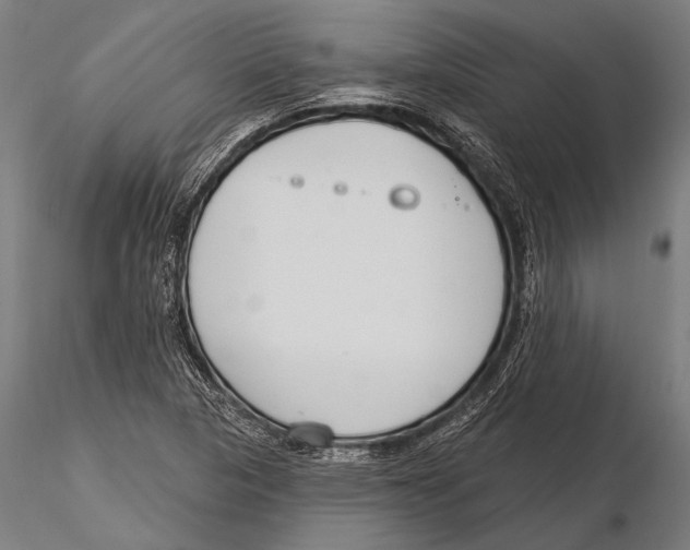 X0000115491313200912041007