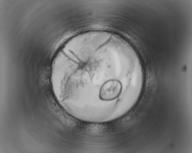 X0000115491314200912041007