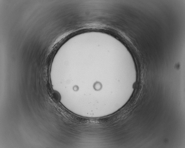 X0000115491315200912041007