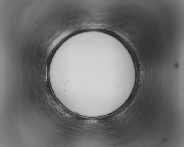 X0000115491317200912041007
