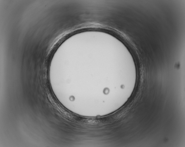 X0000115491318200912041007