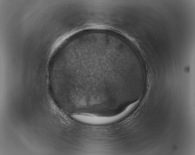 X0000115491319200912041007